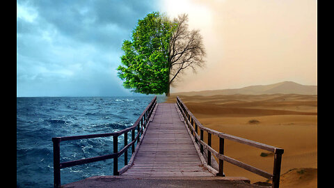 : 🌧️ Raining Bliss – Mind Relaxation for Nature Lovers 🌿