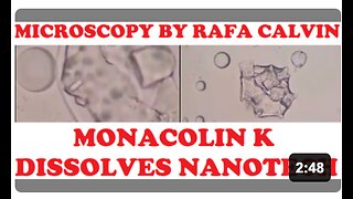 RED RICE YEAST (Monacolin K) DESTROYS NANOTECH!