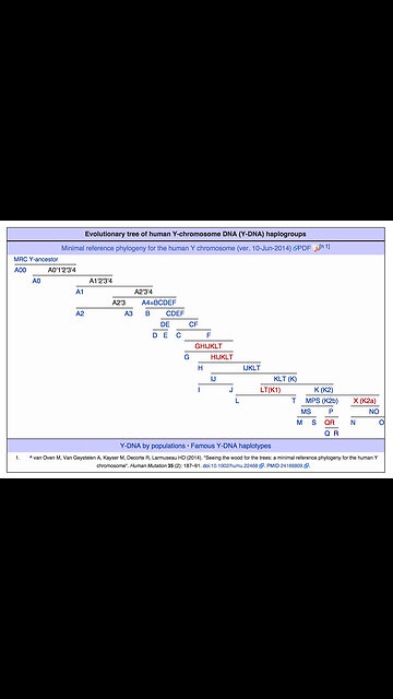 ESAU-EDOM IS THE HAPLOGROUP Q , VIDEO 11 OF 12 ON HAPLOGENETIC