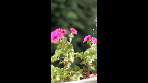 Daily Verse January 20th 2025