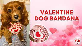 DIY Valentine Dog Bandana