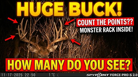 Fity Point Buck!!