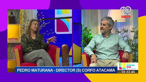 Pedro Maturana Director (s) Corfo Atacama