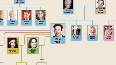 Elon Musk Family Tree