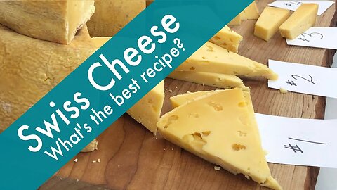 Swiss Cheese Made at Home - What Recipe Made the Best Tasting Swiss Cheese? What the judges said...