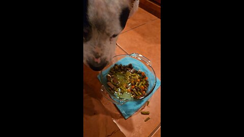 Lucy, "Still A Messy Eater"