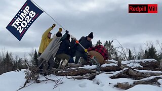 The Bold and the Brainless