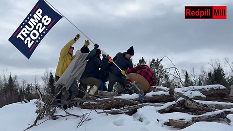 The Bold and the Brainless