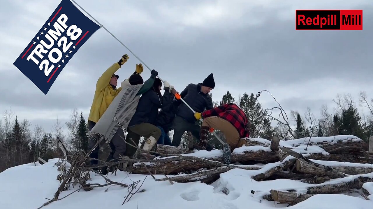 The Bold and the Brainless