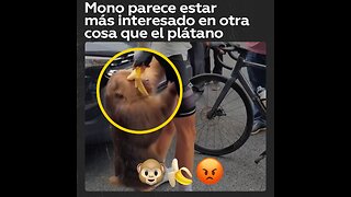 No está interesado en el plátano, está claramente interesado en otra cosa