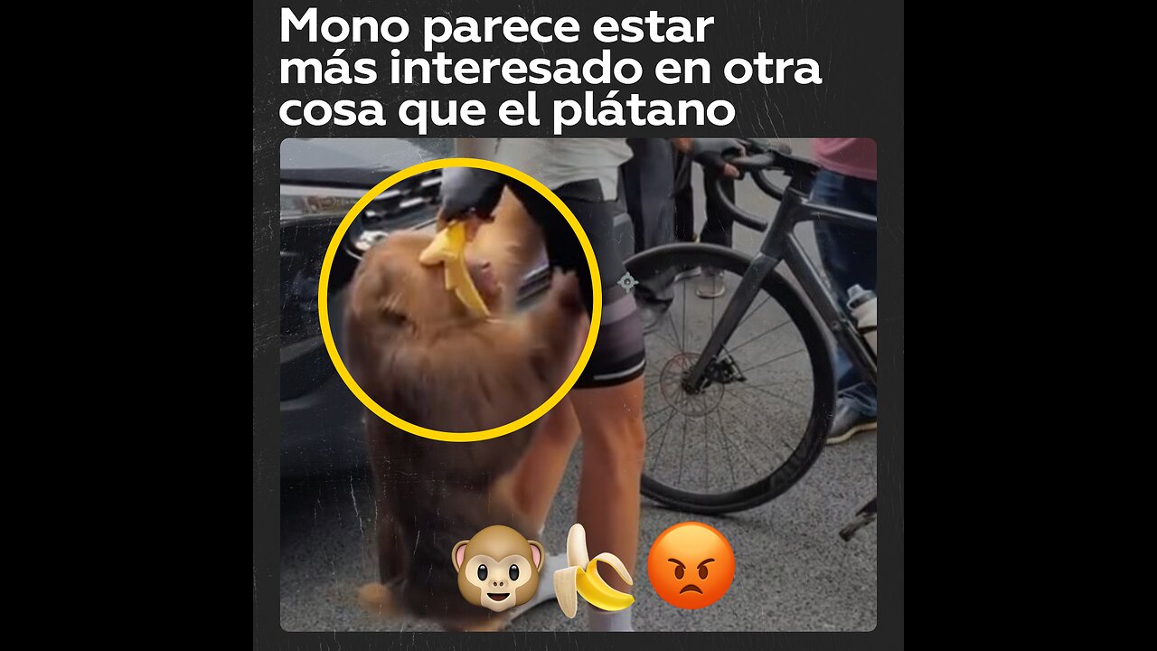 No está interesado en el plátano, está claramente interesado en otra cosa
