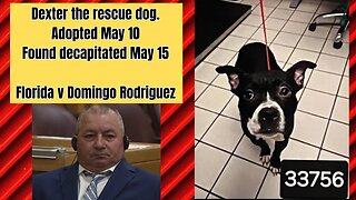 Florida v Domingo Rodriguez - Did he decapitate his newly adopted dog Dexter?