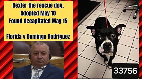 Florida v Domingo Rodriguez - Did he decapitate his newly adopted dog Dexter?