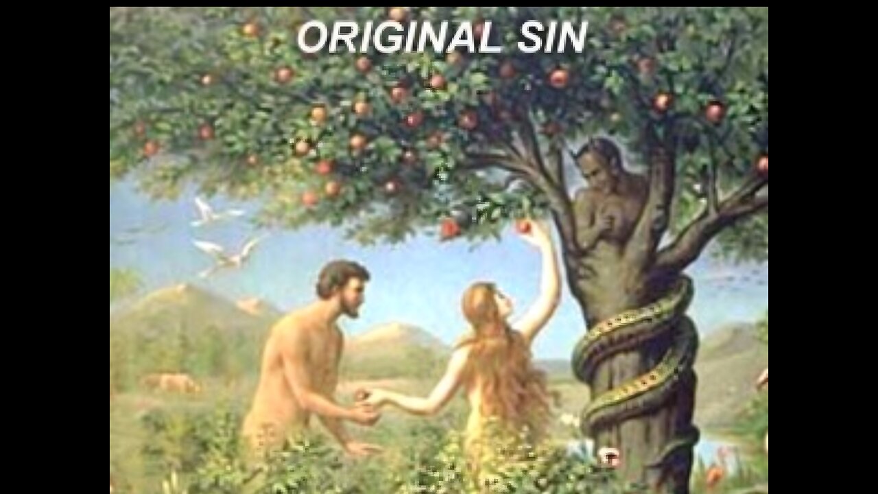 WHY JESUS TALKED ABOUT TREES SO MUCH