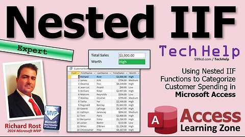 Using Nested IIF Functions to Categorize Customer Spending in Microsoft Access