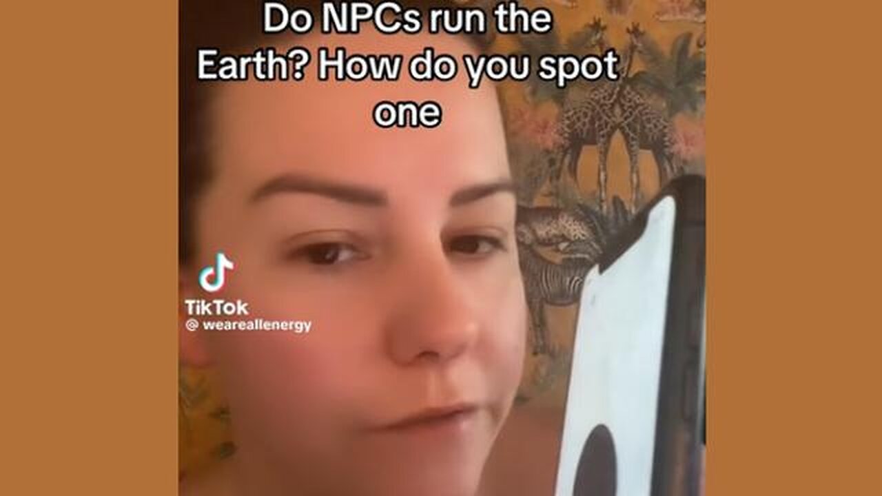 NPC's and mirror constructs... Vs Those that are Awake