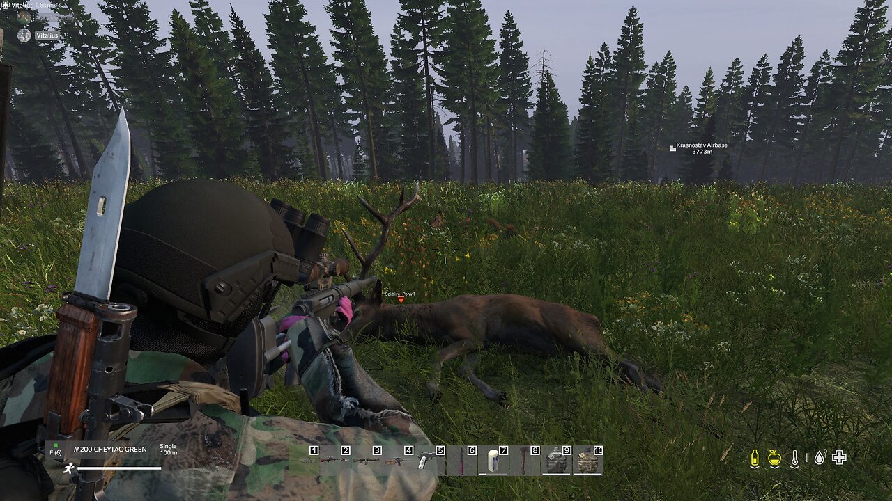 [DayZ][PvE][ENG] Fraggin' Zombies & AI