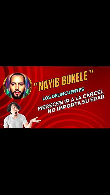 "Bukele le da cátedra sobre seguridad a diputada que defiende delincuentes"