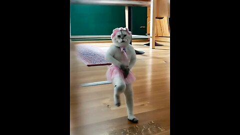 When your cat has better moves than you… 🐾💃"