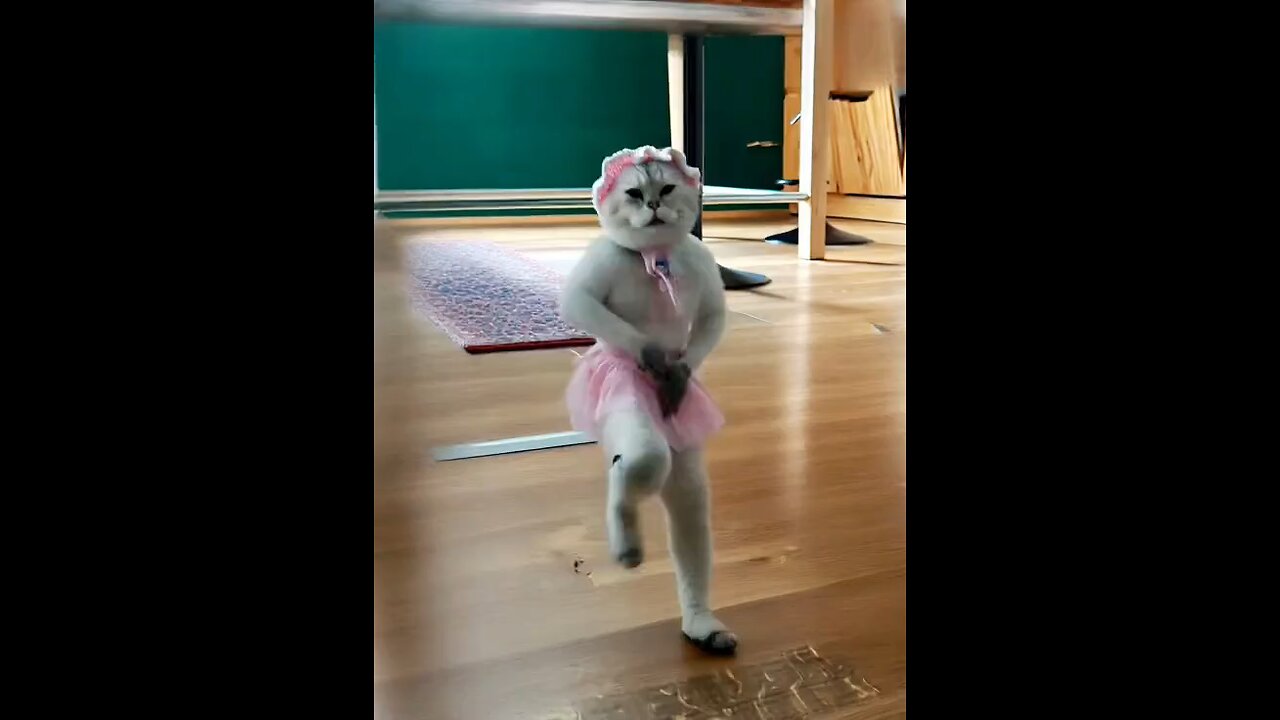 When your cat has better moves than you… 🐾💃"
