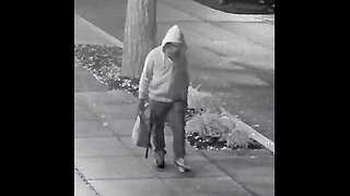 J6 Pipe Bomb suspect: Is "Gait Analysis" Science?