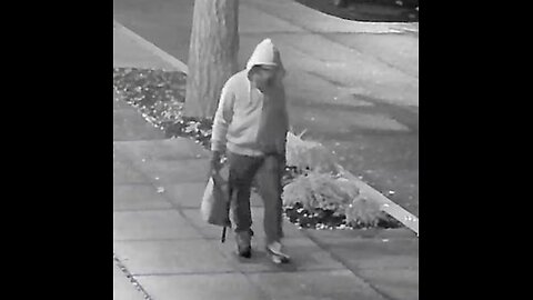 J6 Pipe Bomb suspect: Is "Gait Analysis" Science?