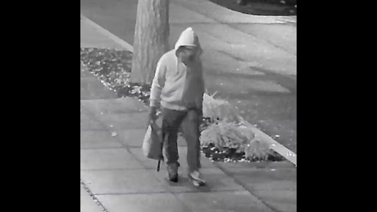 J6 Pipe Bomb suspect: Is "Gait Analysis" Science?