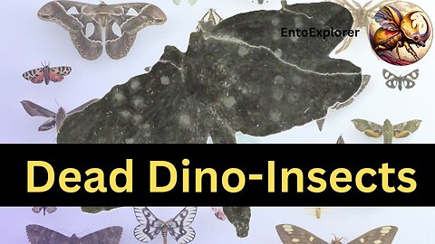 Introduction to Insect Taxonomy and Identification - Extinct Order Palaeodictyoptera