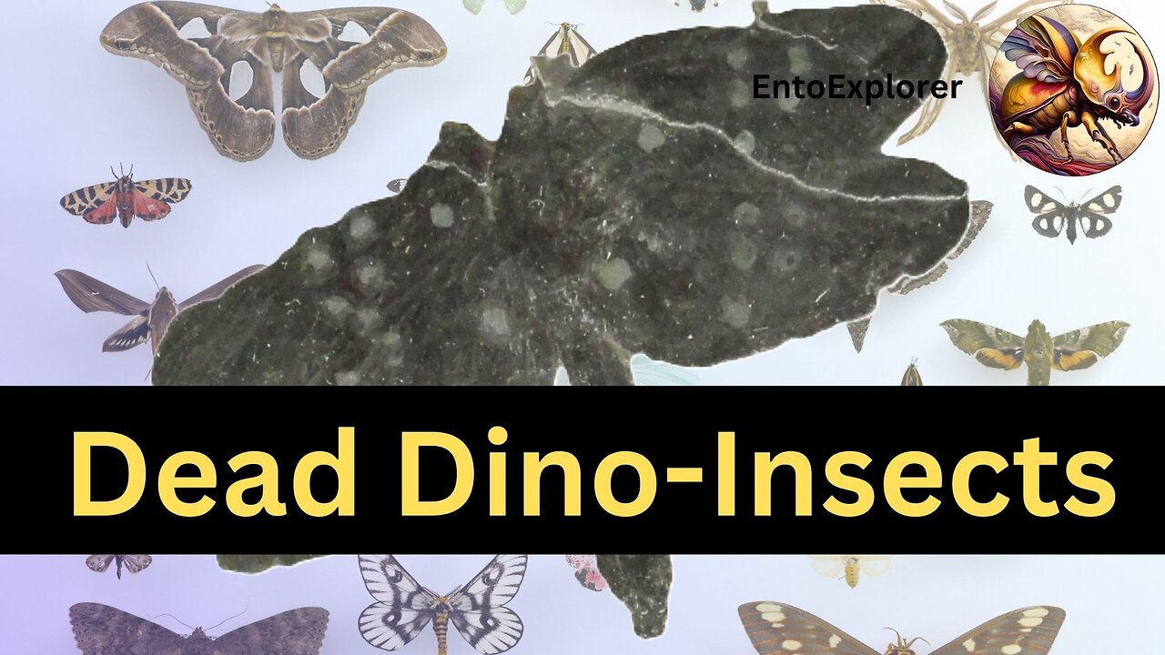 Introduction to Insect Taxonomy and Identification - Extinct Order Palaeodictyoptera