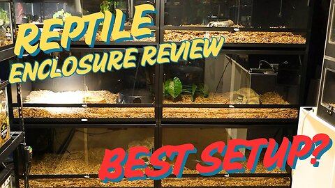 Can You Really Create a PERFECT Reptile Habitat Enclosure?