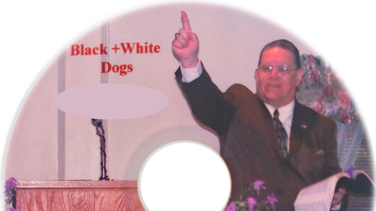 Black and White Dogs