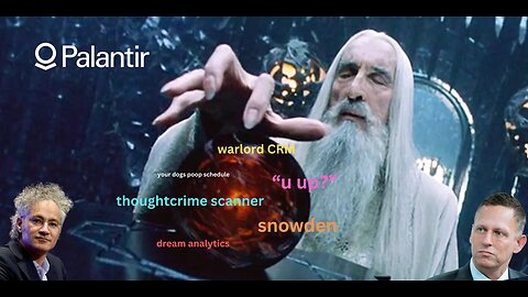 Palantir & The Dangers It Presents Not Just To Americans But The World