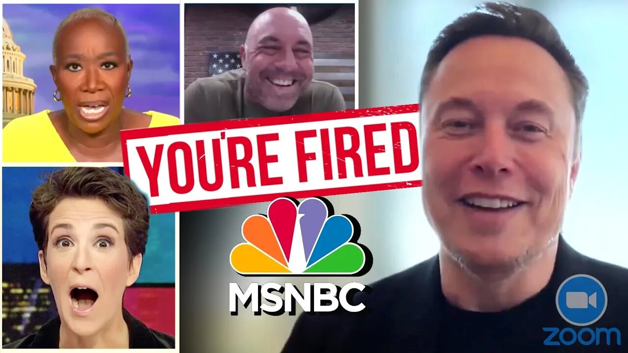 Elon Musk "Fires" Back at MSNBC During Twitter Meeting | Dubbing Version