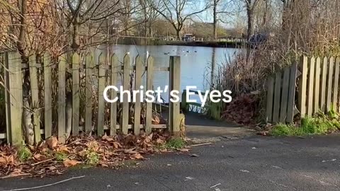 Looking into the Eyes of Jesus Christ