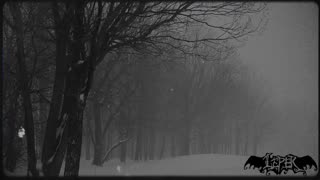 LEPER - SILENT NIGHT