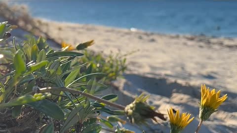 Daily Horoscope | Gemini 🌟