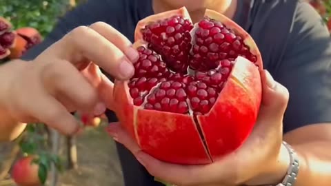 Enjoy beautiful farming