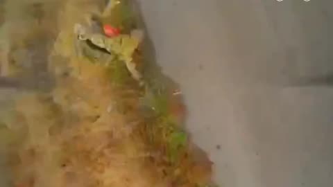 💥 We’ve put together a highlight reel from recent missions to keep the momentum high, - 225 OSHP