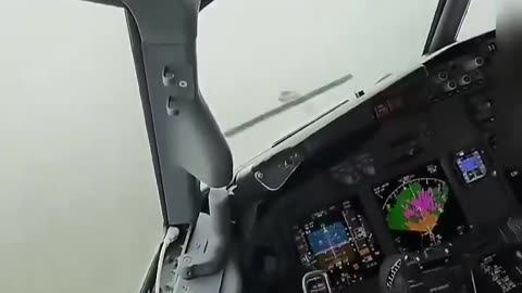 Boeing 737 shows the exact moment a pilot executes a zero-visibility landing