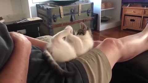 Releasing of potential energy 😂