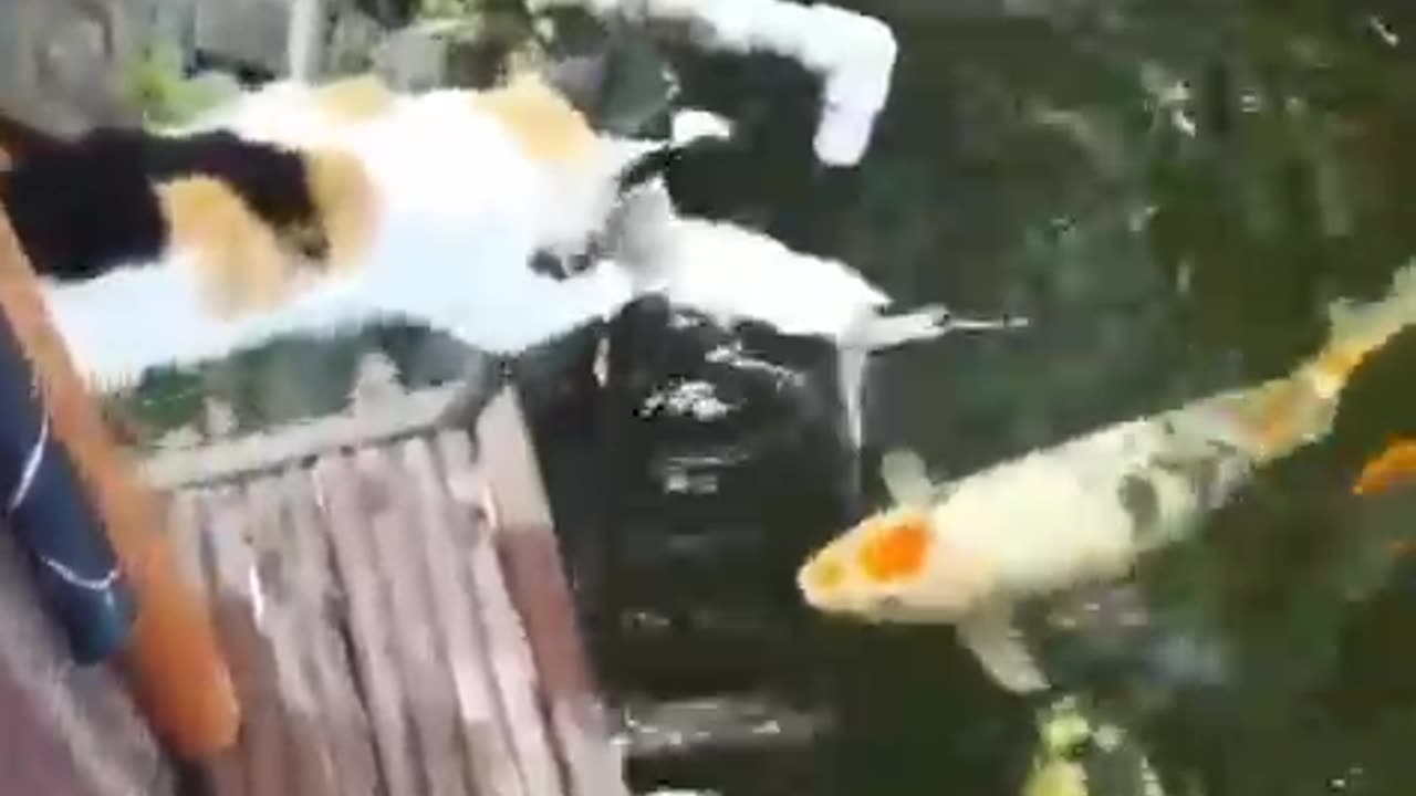 Mama Cat will always protect her Kittens