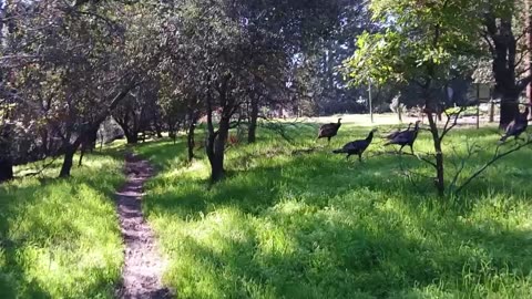 A Quick Walk And Talk - November 22nd, 2025