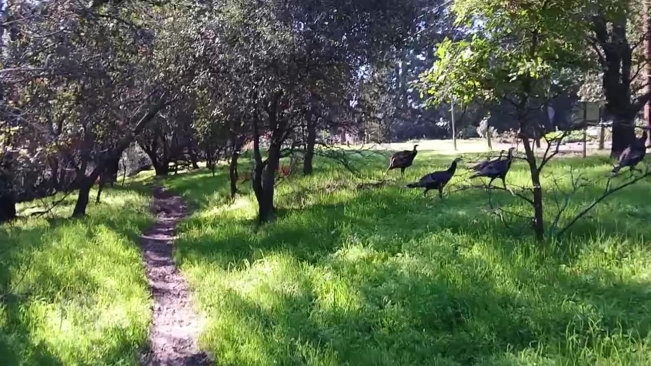 A Quick Walk And Talk - November 22nd, 2025