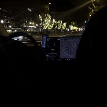 Australian cassowary bird