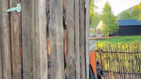 Russian ＂toilet＂