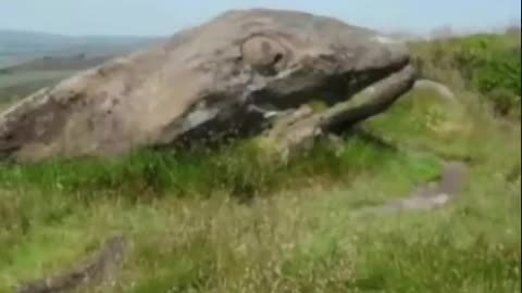 PETRIFIED GIANT ANIMALS