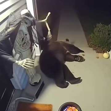 The moment the Halloween doll moved... The bear lost its soul and fainted #AIvideo