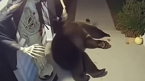 The moment the Halloween doll moved... The bear lost its soul and fainted #AIvideo