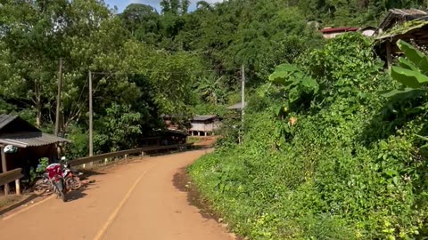 Two months volunteering on a coffee farm in Chiang Rai with the Lahu community - Part 4