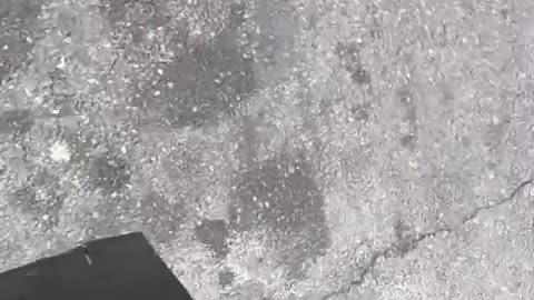 That’s Me Getting Off the MTA bus